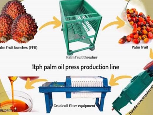 Máquina de extracción de aceite de almendra de palma de 10-100 tpd Israel