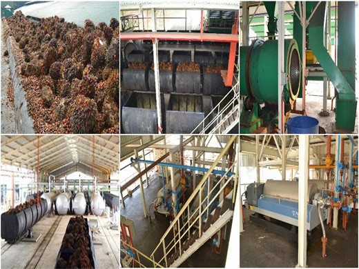 maquinaria de refinación de aceite de palma a pequeña escala