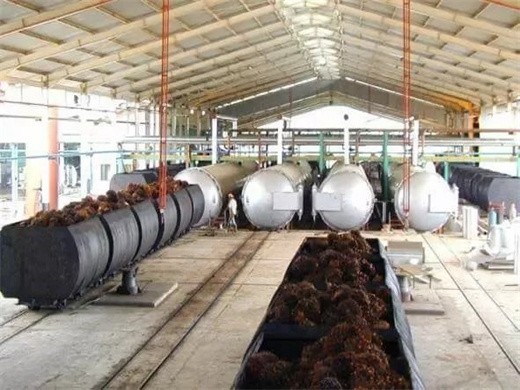 planta de molino de aceite de palma – maquinaria de molino de aceite
