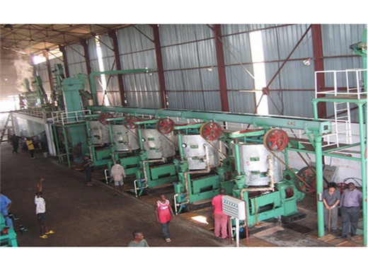 equipo de procesamiento de aceite de palma crudo