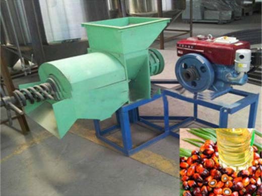 Máquina y fábrica de extracción de aceite de palma llave en mano Perú